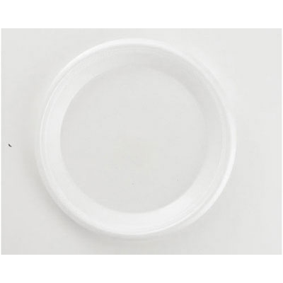 Boardwalk Non-Laminated Foam Plates, 10 1/4 Inches, White,